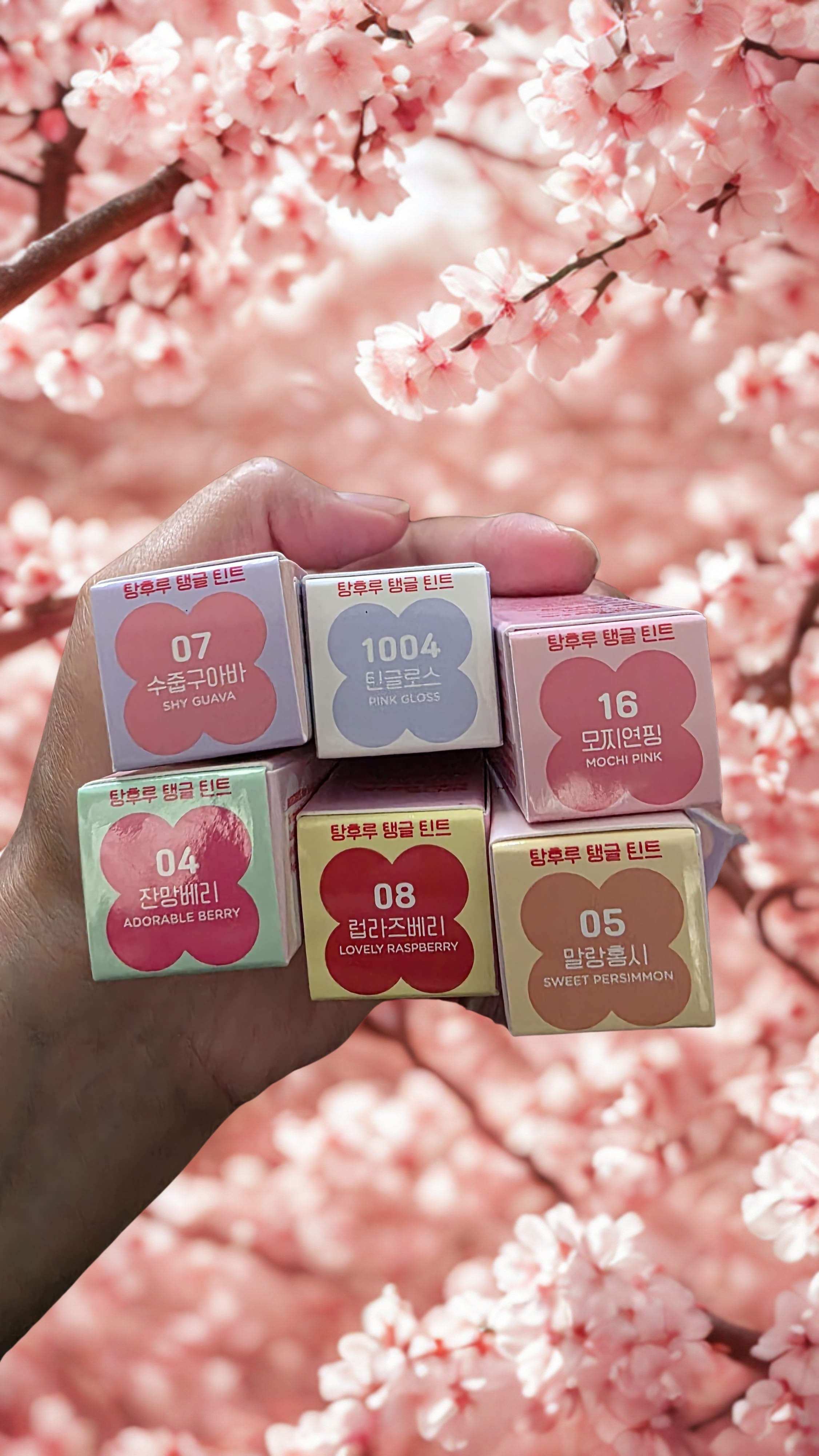 Colorgram Fruity Glass Tints